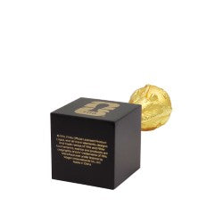FIFA World Cup 70mm Replica Trophy (with plinth)