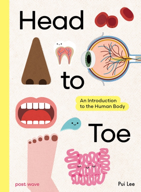 Head to Toe : An Introduction to the Human Body