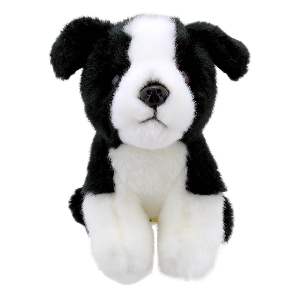 Pickles The World Cup Dog