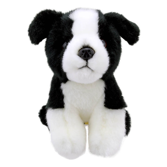 Pickles The World Cup Dog
