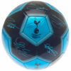 Tottenham Hotspur FC Signature 26 Football