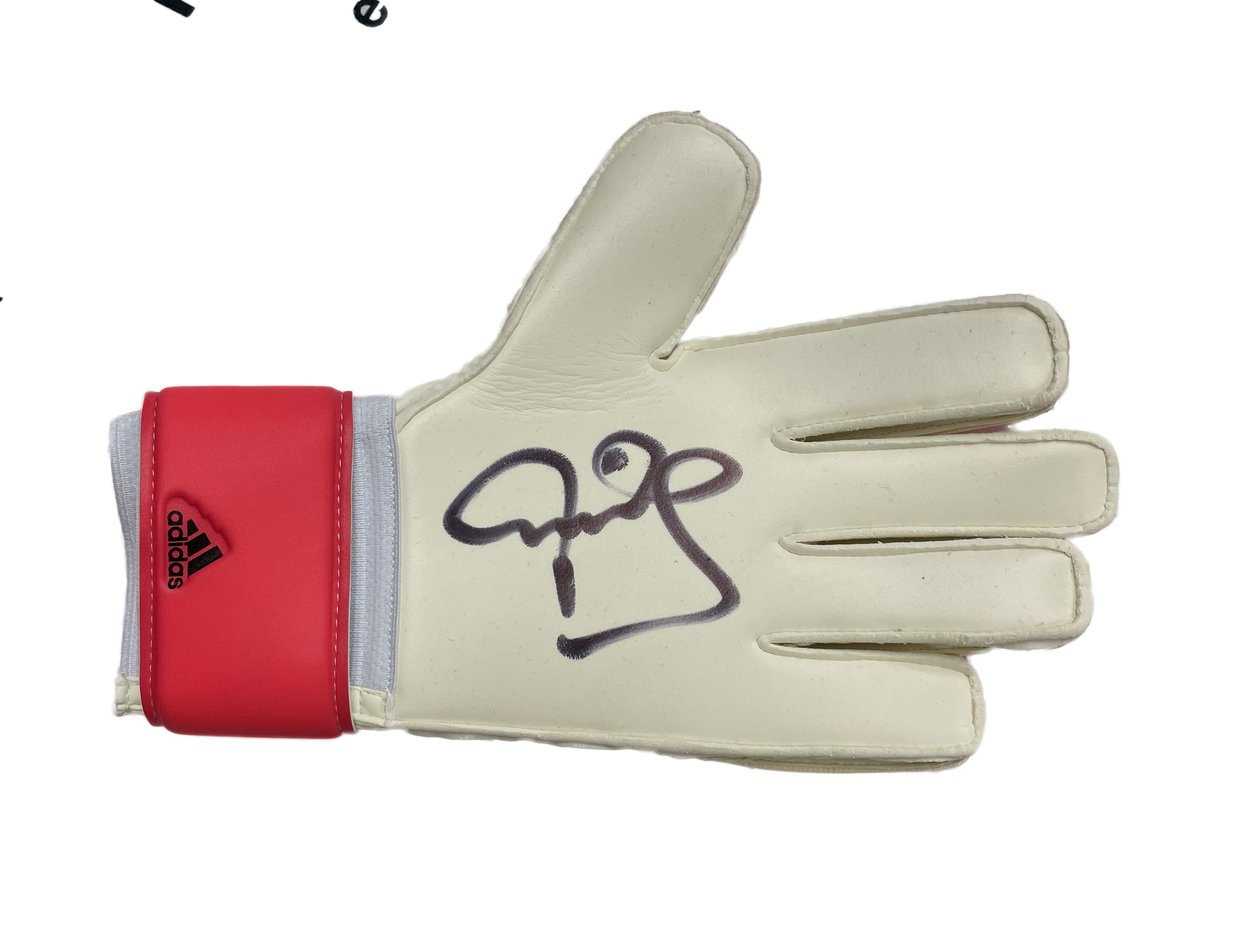 Peter sales schmeichel gloves