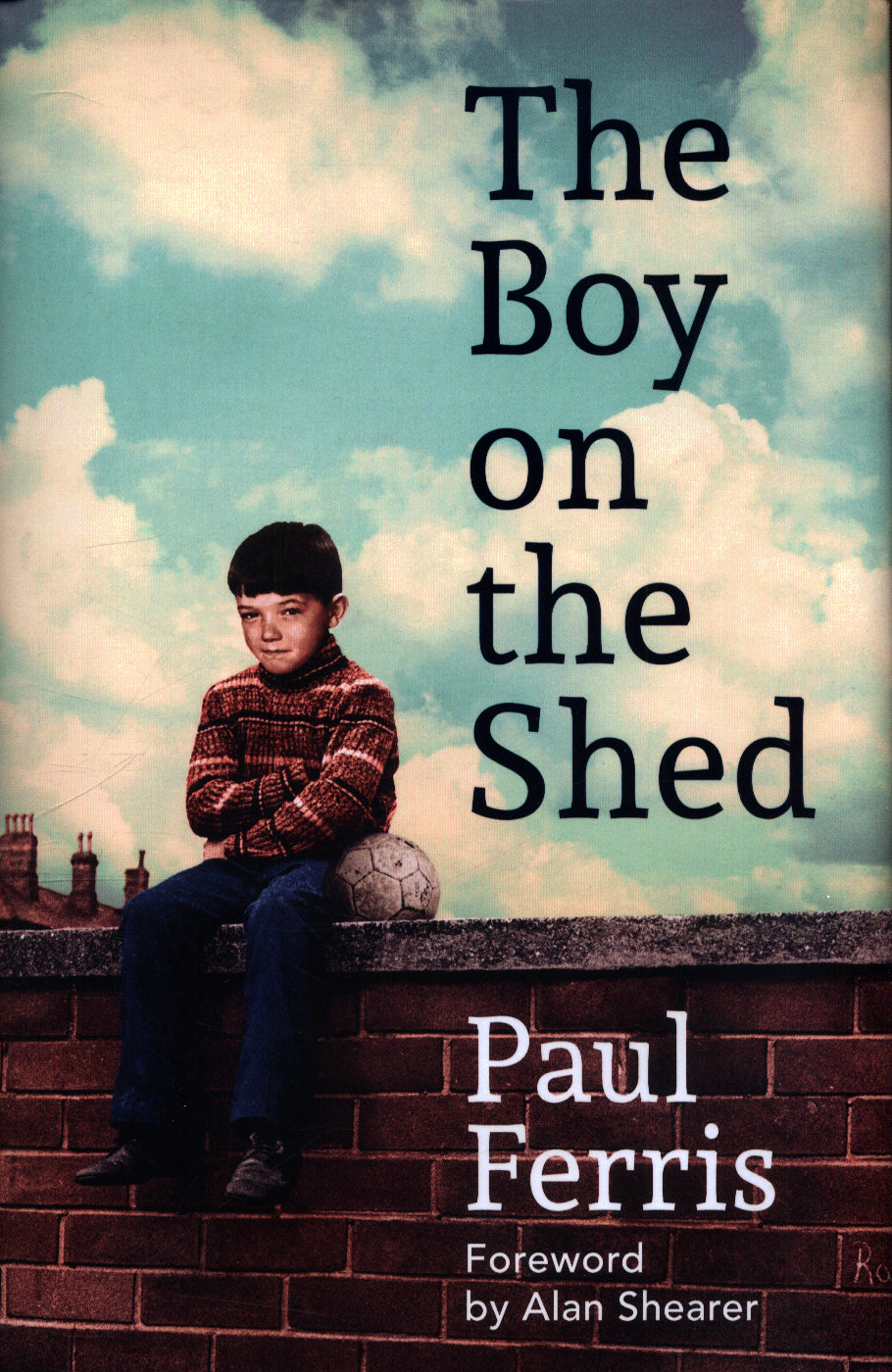 The Boy on the Shed