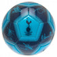 Tottenham Hotspur FC Signature 26 Football