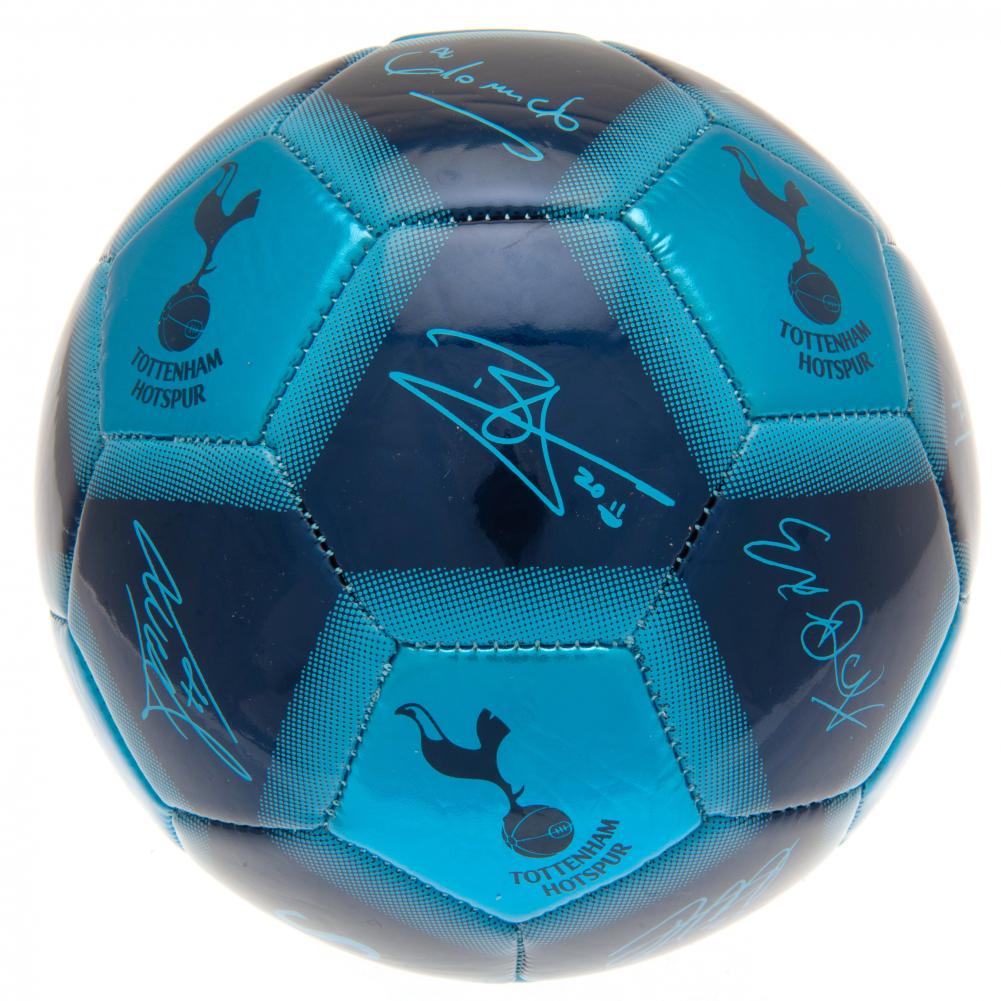 Tottenham Hotspur FC Signature 26 Football