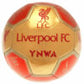 Liverpool FC Signature 26 Football
