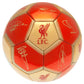 Liverpool FC Signature 26 Football