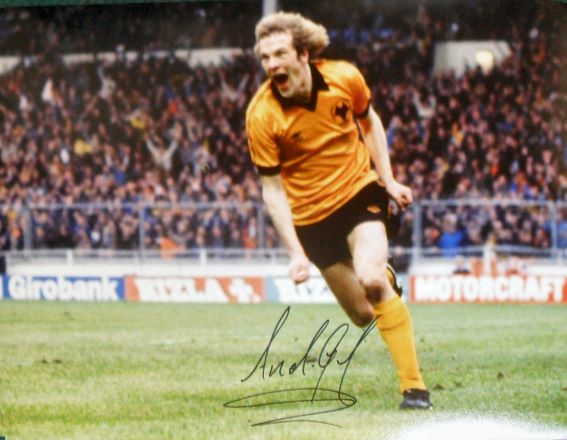 Andy Gray Signed Wolves 16 x 12 Photo