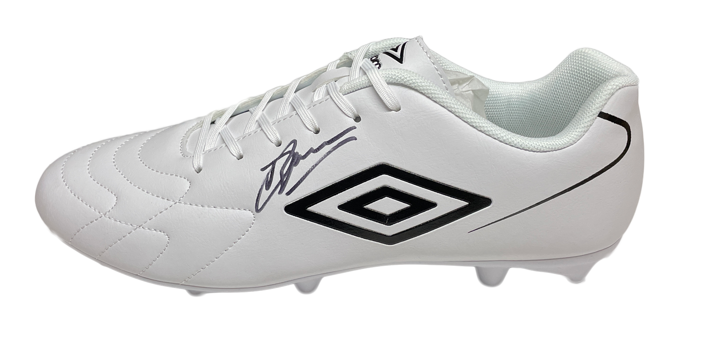 Bergkamp Signed Football Boot